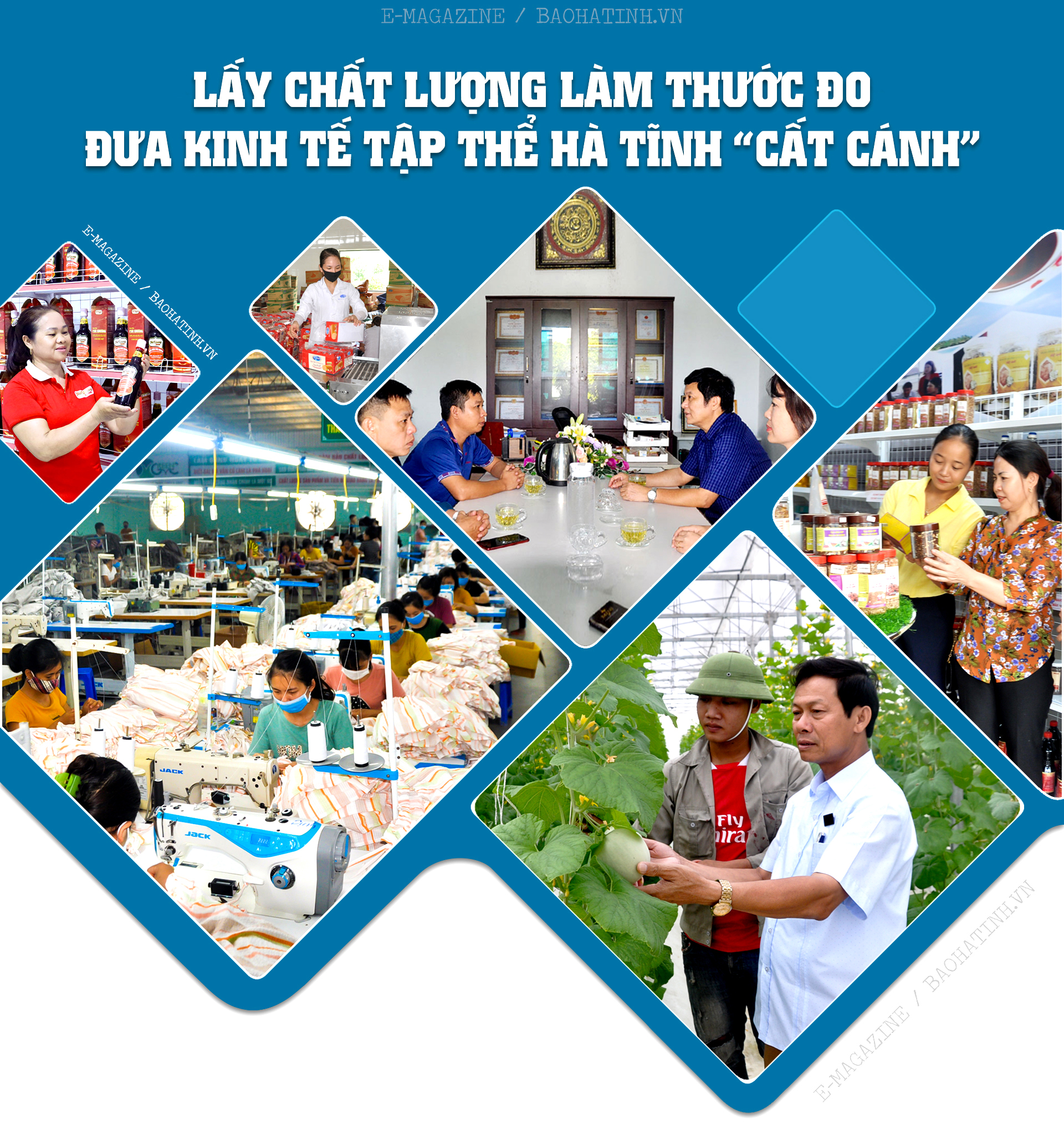 Lấy chất lượng làm thước đo, đưa kinh tế tập thể Hà Tĩnh “cất cánh” ảnh 1 Lấy chất lượng làm thước đo, đưa kinh tế tập thể Hà Tĩnh “cất cánh”