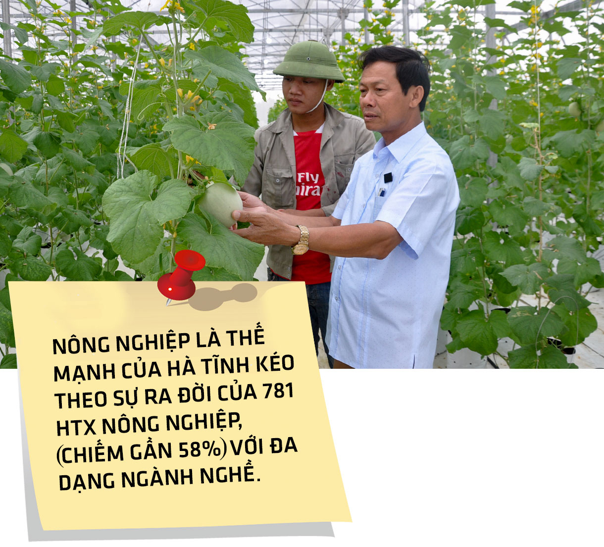 Lấy chất lượng làm thước đo, đưa kinh tế tập thể Hà Tĩnh “cất cánh”