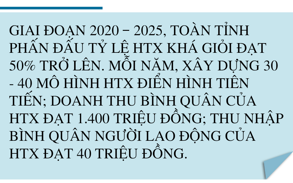 Lấy chất lượng làm thước đo, đưa kinh tế tập thể Hà Tĩnh “cất cánh” ảnh 14 Lấy chất lượng làm thước đo, đưa kinh tế tập thể Hà Tĩnh “cất cánh”