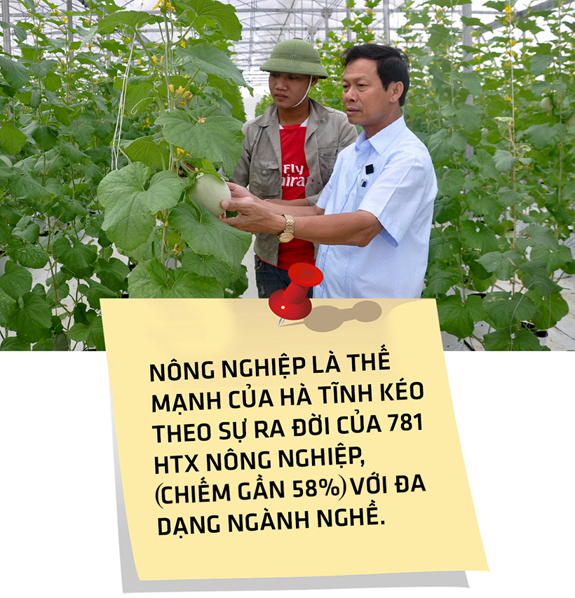Lấy chất lượng làm thước đo, đưa kinh tế tập thể Hà Tĩnh “cất cánh” ảnh 9 Lấy chất lượng làm thước đo, đưa kinh tế tập thể Hà Tĩnh “cất cánh”