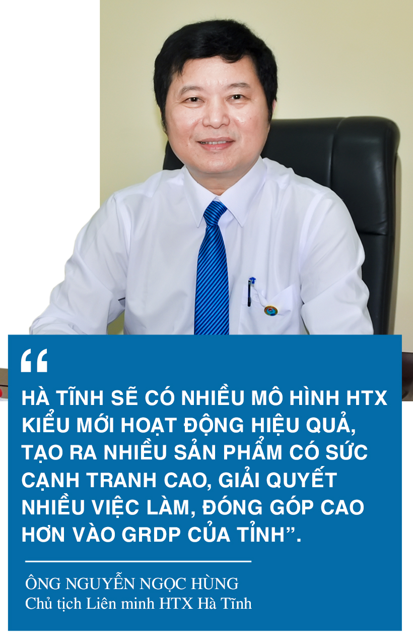 Lấy chất lượng làm thước đo, đưa kinh tế tập thể Hà Tĩnh “cất cánh” ảnh 19 Lấy chất lượng làm thước đo, đưa kinh tế tập thể Hà Tĩnh “cất cánh”