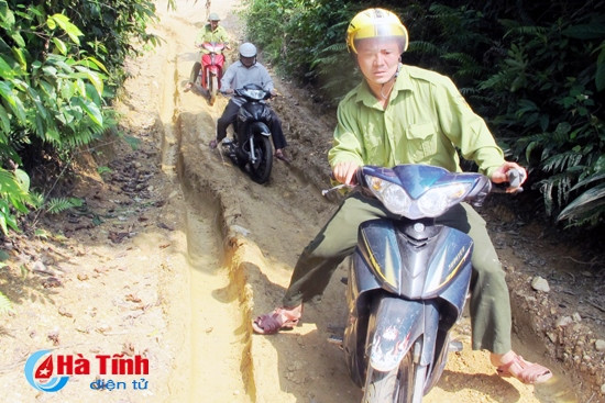Bảo vệ rừng tự nhiên - cần sự vào cuộc đồng bộ ảnh 1 Bảo vệ rừng tự nhiên - cần sự vào cuộc đồng bộ ảnh 1