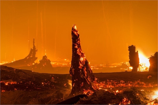 Nhìn lại năm 2015 đầy biến động qua ảnh ảnh 10