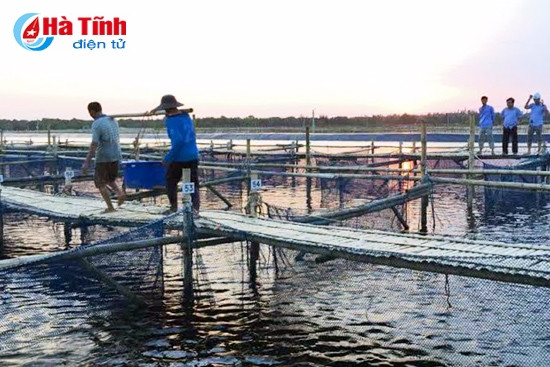 Chung sức xây dựng Cẩm Dương ngày càng giàu đẹp ảnh 2