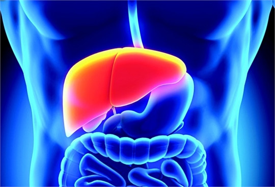 Methionine được sử dụng trong các trường hợp cần giải độc gan