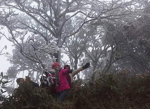 Băng giá ở Phia Oắc, huyện Nguyên Bình, tỉnh Cao Bằng. Ảnh: Sỹ Đoàn.