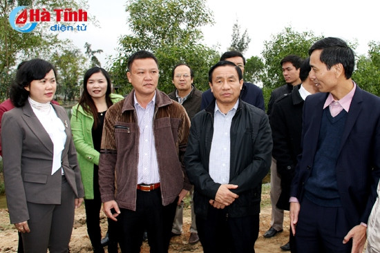 Tiếp tục lan tỏa phong trào xây dựng NTM, đảm bảo các tiêu chí đạt chuẩn bền vững ảnh 6