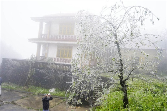 Băng giá phủ trắng vùng núi Lào Cai ảnh 6