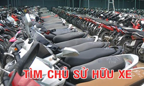 Tìm chủ sở hữu phương tiện vi phạm hành chính ảnh 1
