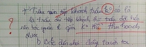 Những bài kiểm tra văn 'khó đỡ' của học trò ảnh 5