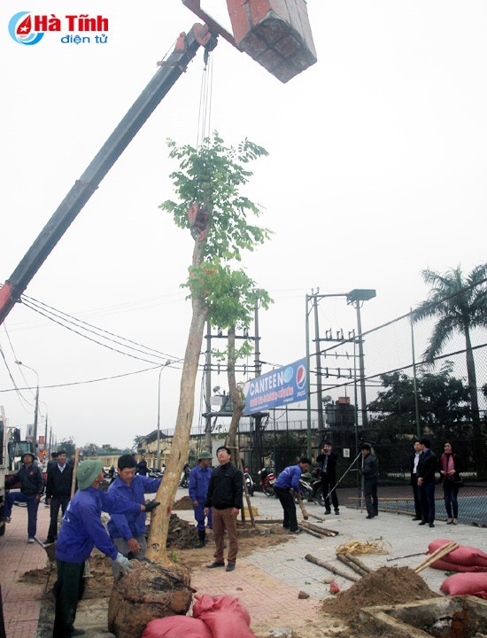 Chung tay vì thành phố xanh ảnh 2