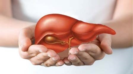 Lạm dụng thuốc bổ gan = hại gan ảnh 2