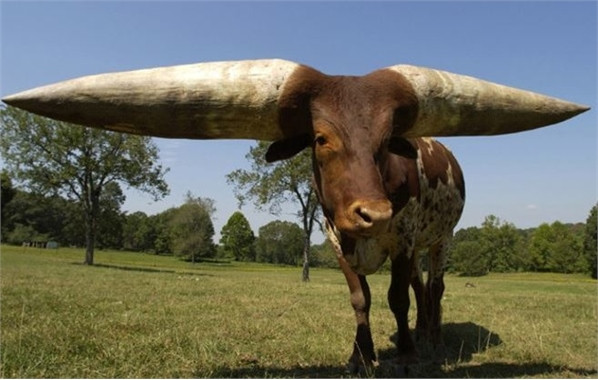 Khó tin với những hình ảnh tự nhiên không hề qua chỉnh sửa ảnh 12