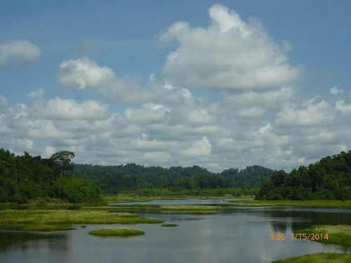 Bàu Sấu, điểm đến tuyệt đẹp ở Cát Tiên. Ảnh: Vĩnh Hy.