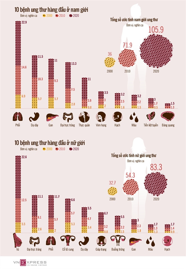 10 bệnh ung thư hàng đầu dễ mắc ở Việt Nam ảnh 1