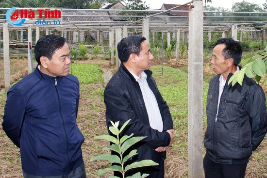 Tiếp tục lan tỏa phong trào xây dựng NTM, đảm bảo các tiêu chí đạt chuẩn bền vững ảnh 4