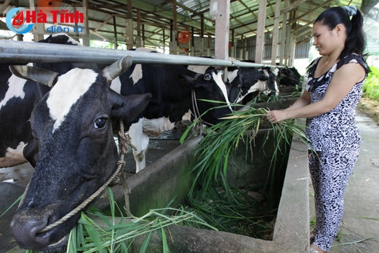 Vinamilk tái ký hợp đồng với hàng ngàn hộ chăn nuôi bò sữa ảnh 5