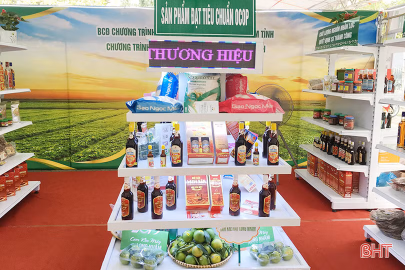 Dấu ấn xây dựng nông thôn mới Hà Tĩnh năm 2019