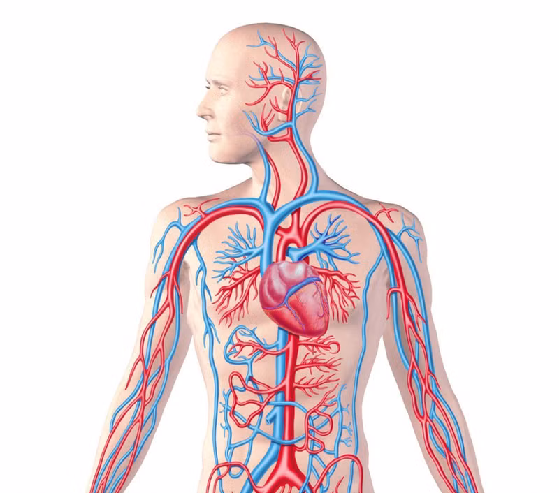 13 lợi ích sức khỏe khi bạn đi chân đất nhiều hơn