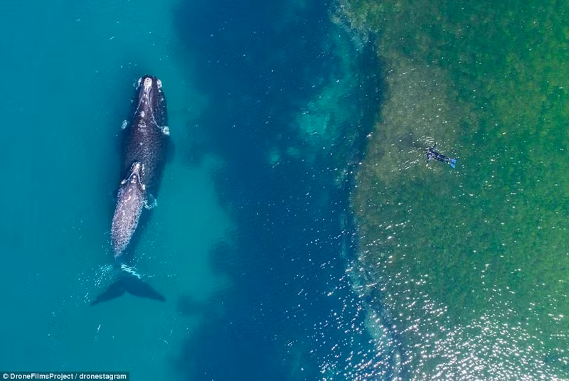 nhung buc anh chup tu may bay khong nguoi lai dep nhat