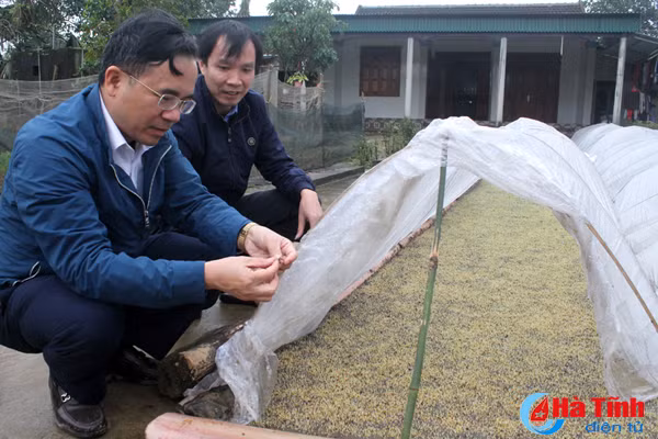 doc dao gieo ma tren san nha de chong ret o vung thuong ky anh