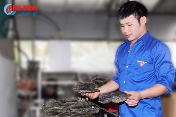 tri thuc tre thoi luong gio moi cho nhung lang que ha tinh