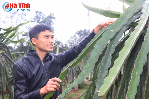 giam doc 9x voi co nghiep tien ty o vung nui huong son