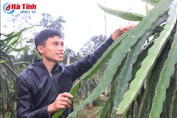 giam doc 9x voi co nghiep tien ty o vung nui huong son