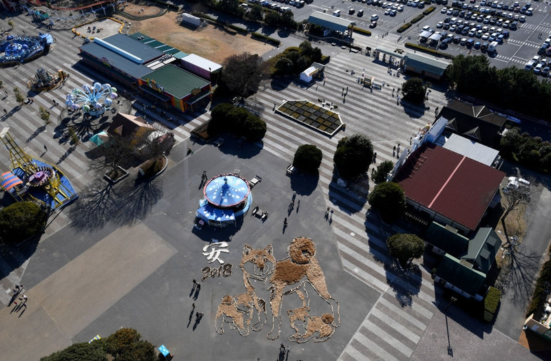 tre so sinh mac do cun con don nam moi trong benh vien