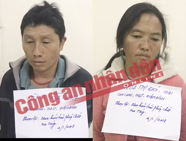 triet pha duong day ma tuy cuc lon thu giu 489 banh heroin