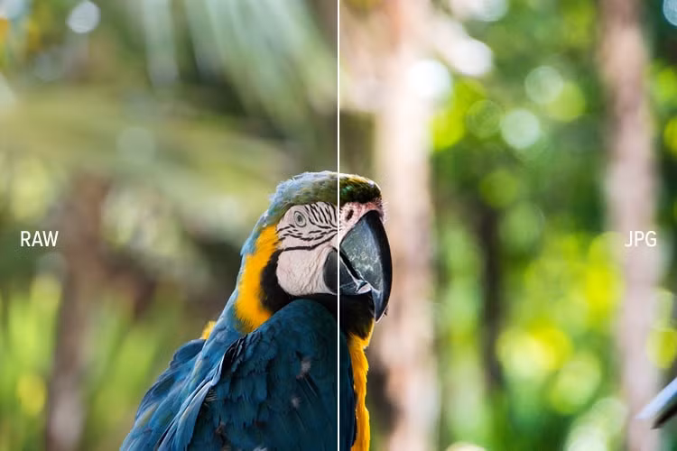 cach de chup anh dep bang smartphone