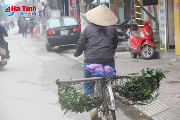 nhung nguoi quen tet