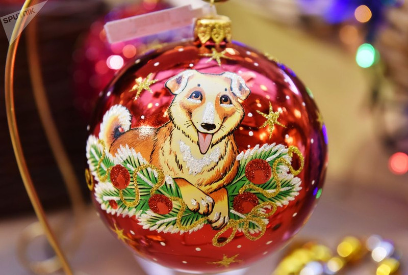 tre so sinh mac do cun con don nam moi trong benh vien