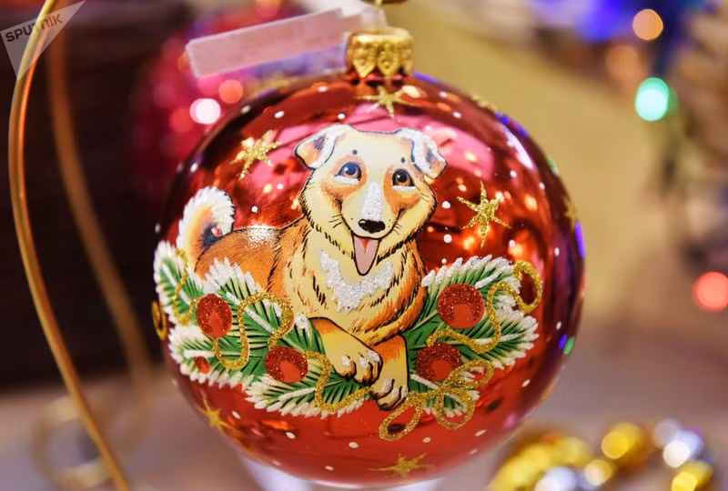 tre so sinh mac do cun con don nam moi trong benh vien