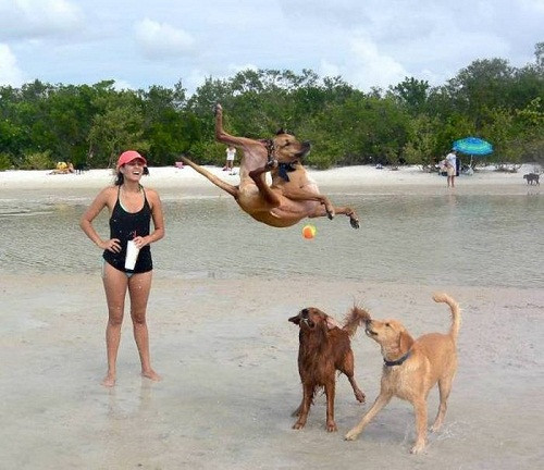 10 anh hai hot nhat facebook trong ngay