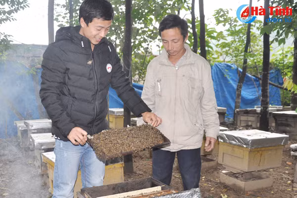 kinh te hop tac ha tinh bo loi lam an duoc mat nho troi