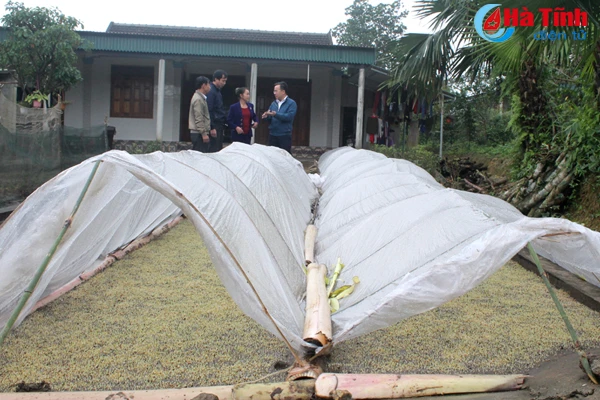 doc dao gieo ma tren san nha de chong ret o vung thuong ky anh