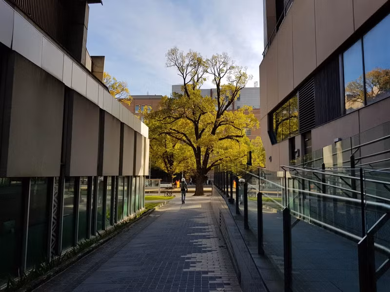 cach de chup anh dep bang smartphone