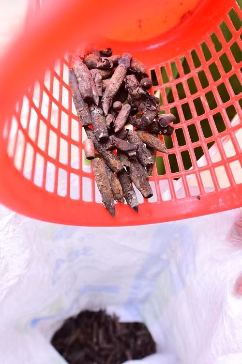 dan roi nhu vai thoc sau vu no kho phe lieu o bac ninh