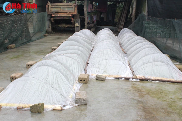 doc dao gieo ma tren san nha de chong ret o vung thuong ky anh