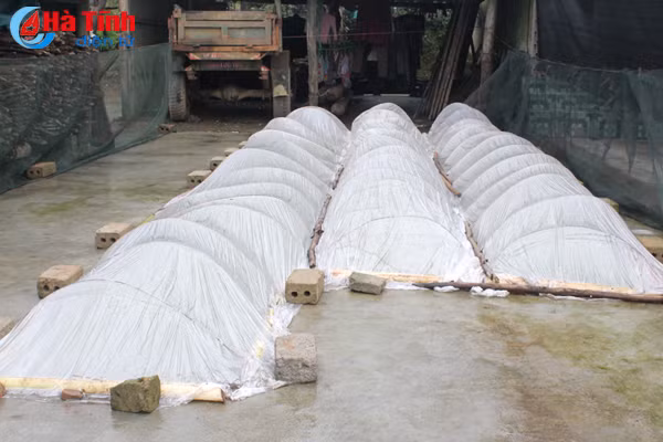 doc dao gieo ma tren san nha de chong ret o vung thuong ky anh