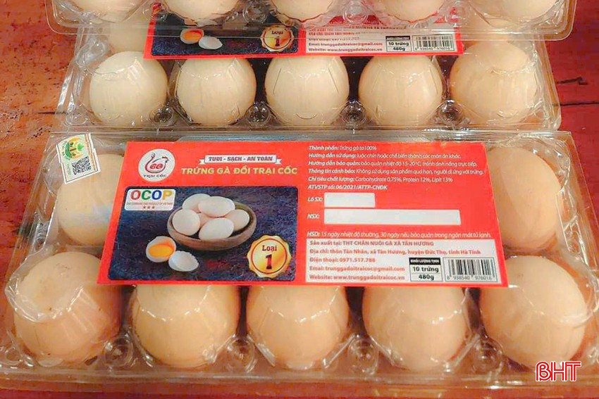 ផលិតផលពងមាន់ភ្នំ Trai Coc នៃក្រុមសហករណ៍បង្កាត់ពូជមាន់ Tan Huong (Duc Tho)។ bqbht_br_398cb09f6f5da408419cb.jpg