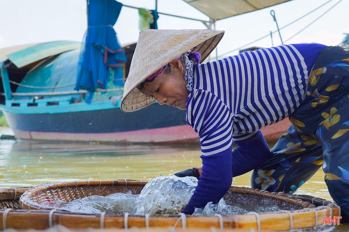 Sau khi nấu xong, hến, dắt sẽ được đưa ra sông đãi lần cuối để lấy ruột.