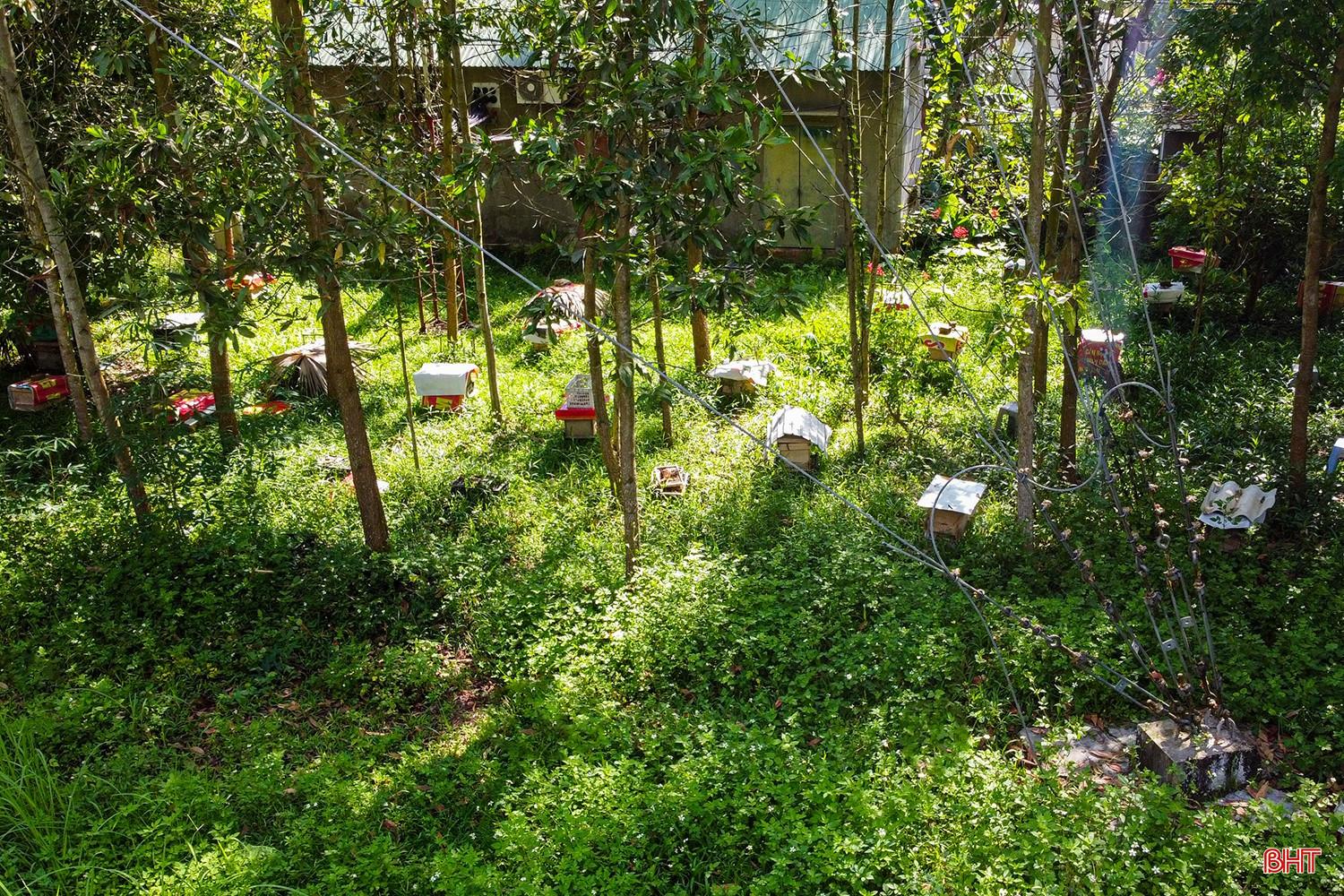 bqbht_br_dji-0991.jpg