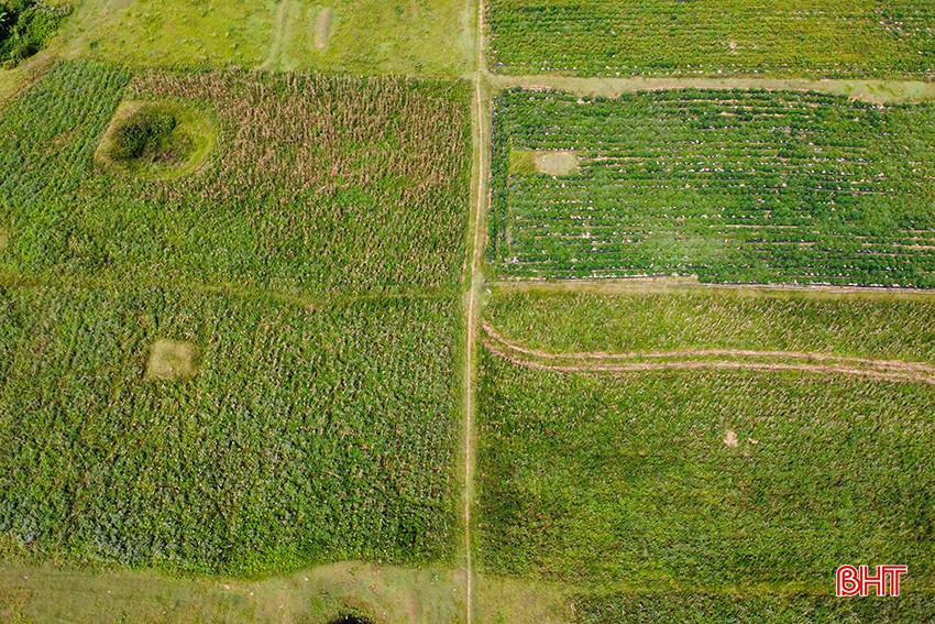 bqbht_br_1dji-0117.jpg