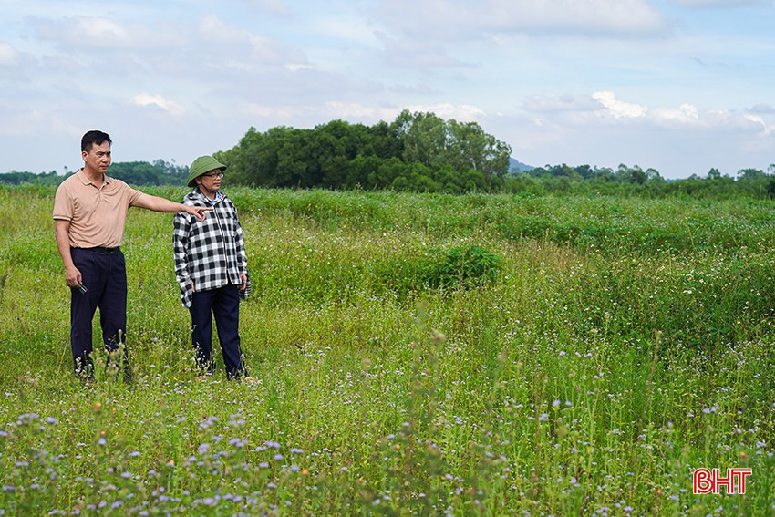 Herr Phan Trung Kien (links) sagte, die Gemeinde sei sehr besorgt über das Problem des verlassenen fruchtbaren Landes. bqbht_br_1dsc02847.jpg
