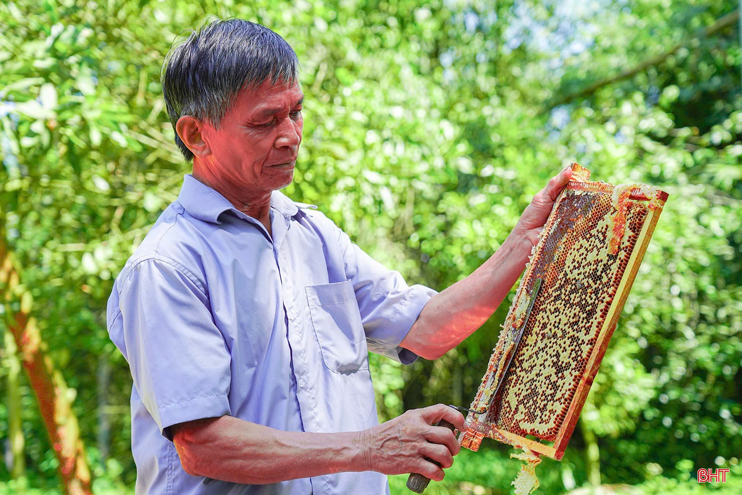 ប bqbht_br_img-3631.jpg
