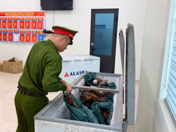 Tang vật bị lực lượng công an thu giữ.