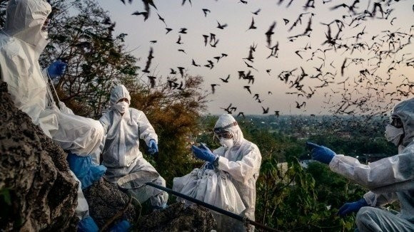 Các nhà khoa học thu thập phân dơi để phục vụ mục đích nghiên cứu năm 2021. Ảnh: The New York Times.