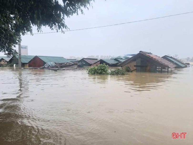 Đến 15h chiều nay, mưa lớn đã làm 8/21 thôn ở xã Đức Minh bị ngập các tuyến đường giao thông trục thôn, ngõ xóm, chia cắt cục bộ; 20 hécta hoa màu bị ngập. bqbht_br_538946784-2004438036996547-1772518584939335936-n.jpg